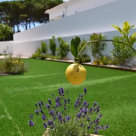 Neue Moderne Mit Privatem Pool By Interhome 펜션 Famalicão